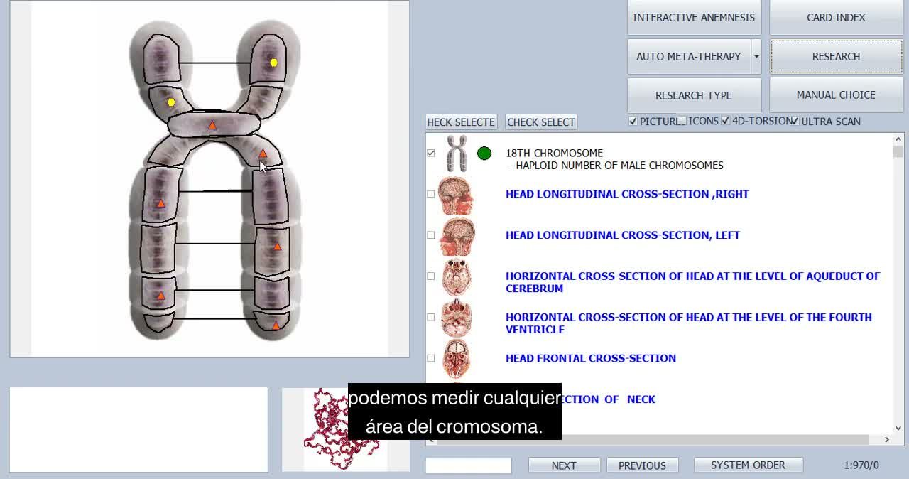 Biophilia Tracker — video adicional