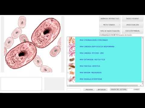 Biophilia Tracker — курс на български език