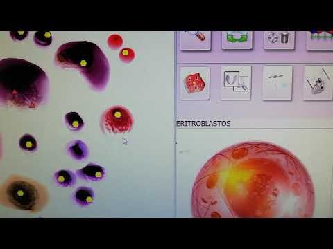 Metatron Hunter — células madre | Héctor Arias