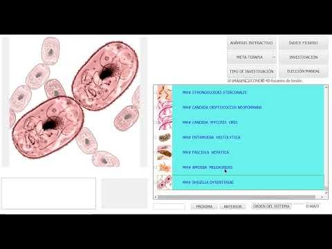 Biophilia tracker video presentazione del corso
